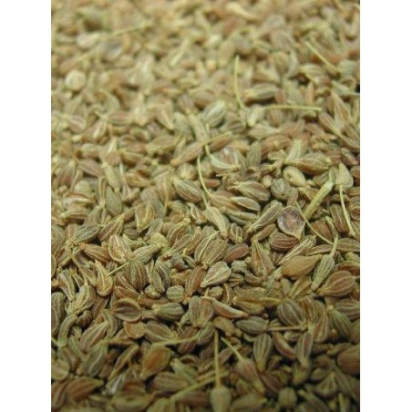 Graines d'Anis 25kg - Grizo à 205,00 € - Grizo - 103001250 - Graines simples