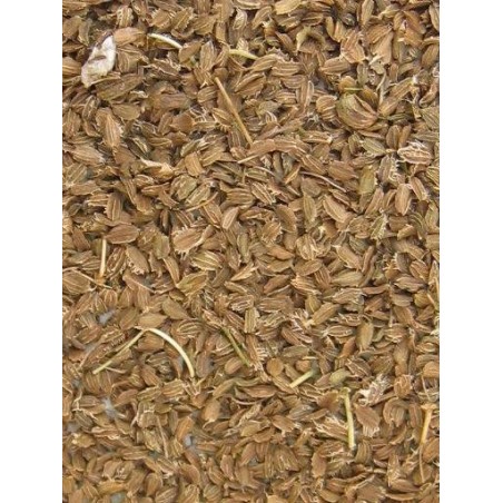 Graines de carotte 20kg - Grizo à 48,50 € - Grizo - 103082200 - Graines simples