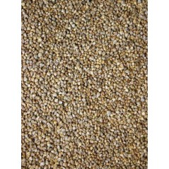 Graines d'épinard 15kg - Grizo à 21,15 € - Grizo - 103072150 - Graines simples