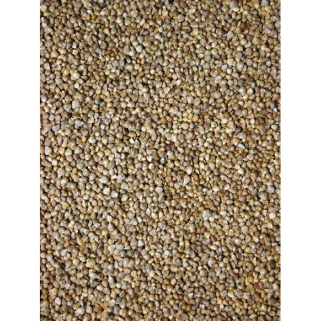 Graines d'épinard 15kg - Grizo à 21,15 € - Grizo - 103072150 - Graines simples