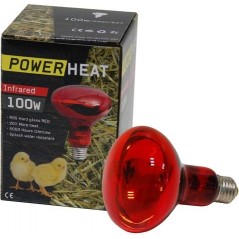 Ampoule infrarouge R95 230V 60W Rouge - PowerHeat à 7,70 € - Kinlys - 24140 - Lampes chauffantes