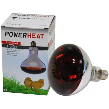 Infrared lamp 150W (glass red) - Powerheat 24142 Kinlys 11,95 € Ornibird