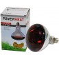 Infrared lamp 150W (glass red) - Powerheat