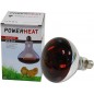 Ampoule infrarouge R125 250W Rouge - Powerheat