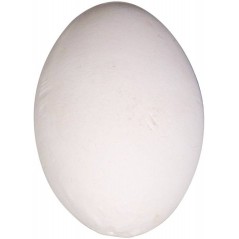 Oeuf factice en platre pour poules 6x4cm à 1,55 € - Kinlys - 24309 - Matériels d'élevage