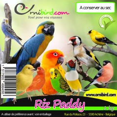 Riz Paddy au kg - Ornibird à 2,75 € - Grizo - 103047250/kg - Graines Ornibird au kg