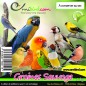 Graines Sauvages au kg - Ornibird