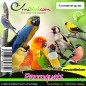 Perroquets au kg - Ornibird