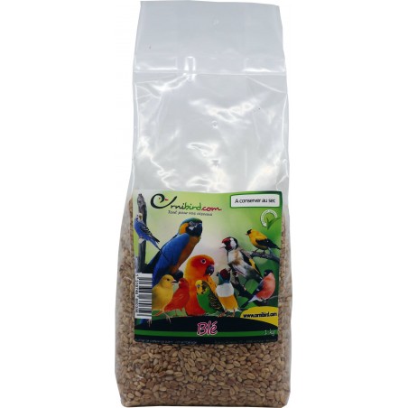 Blé au kg - Ornibird à 2,15 € - Beyers - 002960/kg - Graines Ornibird au kg