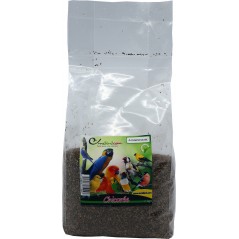 Chicorée au kg - Ornibird à 7,80 € - Beyers - 003705/kg - Graines Ornibird au kg