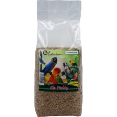 Riz Paddy au kg - Ornibird à 2,75 € - Grizo - 103047250/kg - Graines Ornibird au kg