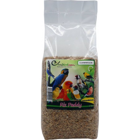 Riz Paddy au kg - Ornibird à 2,75 € - Grizo - 103047250/kg - Graines Ornibird au kg