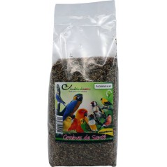 Graines de Santé au kg - Ornibird à 2,85 € - Deli Nature - 006593/kg - Graines Ornibird au kg