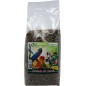 Seeds of health-kg - Deli-Nature (Beyers) 006593/kg Deli Nature 2,85 € Ornibird