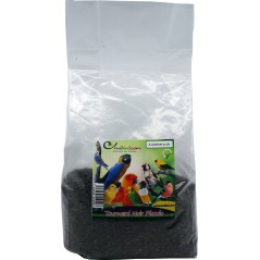 Tournesol Noir Piccolo au kg - Ornibird à 7,25 € - Grizo - 103091250/kg - Graines Ornibird au kg