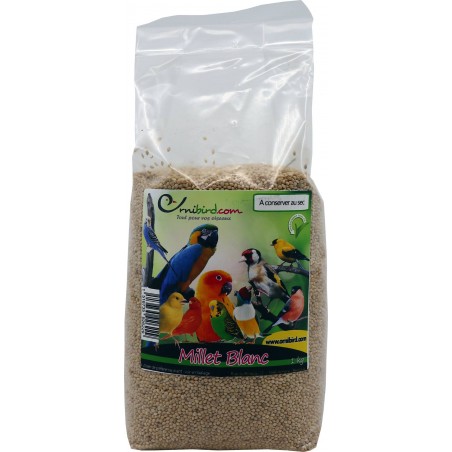 Millet Blanc au kg - Ornibird à 2,35 € - Beyers - 002709/kg - Graines Ornibird au kg