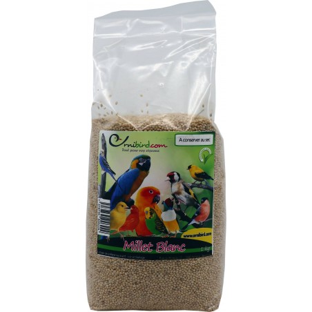 Millet, White at kg - Beyers 002709/kg Beyers 2,35 € Ornibird
