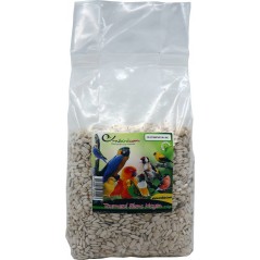 Tournesol Blanc Moyen au kg - Ornibird à 3,50 € - Grizo - 103083250/kg - Graines Ornibird au kg