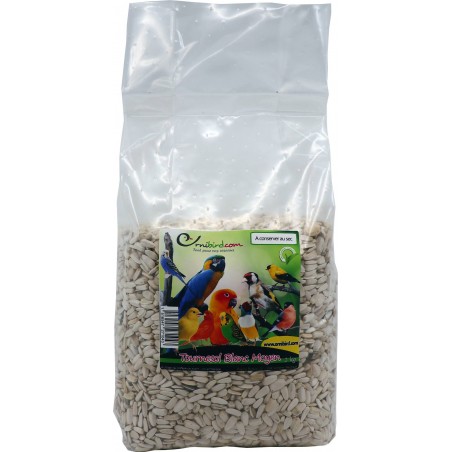 Tournesol Blanc Moyen au kg - Ornibird à 3,50 € - Grizo - 103083250/kg - Graines Ornibird au kg