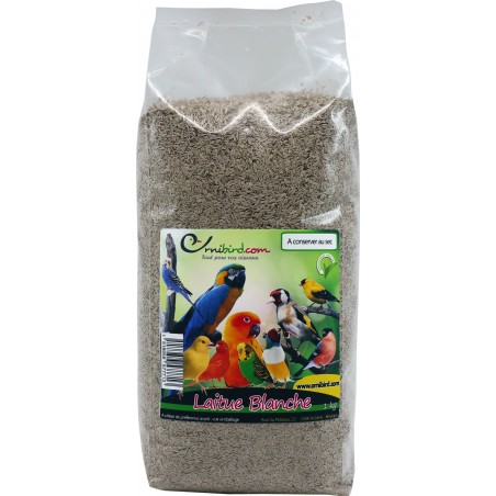 Laitue Blanche au kg - Ornibird à 11,00 € - Grizo - 103071250/kg - Graines Ornibird au kg