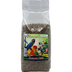 Chanvre au kg - Ornibird à 3,95 € - Beyers - 002502/kg - Graines Ornibird au kg