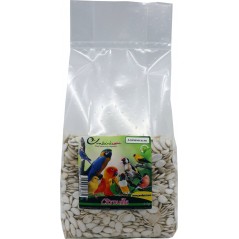 Citrouille au kg - Ornibird à 10,00 € - Private Label - Ornibird - 364/kg - Graines Ornibird au kg