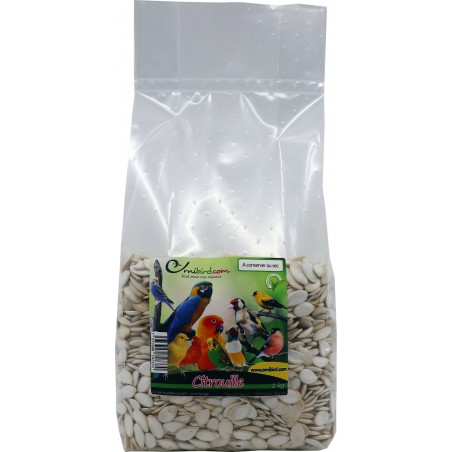 Citrouille au kg - Ornibird à 10,00 € - Private Label - Ornibird - 364/kg - Graines Ornibird au kg