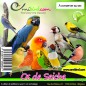 Os de Seiche 500gr - Ornibird