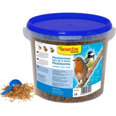 Boites de vers de farine séchés pour oiseaux - lot de 4