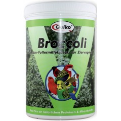 Broccoli, apport en proteines et mineraux 100gr - Quiko à 19,45 € - Quiko - 200260 - Quiko