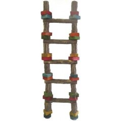 Jouet Echelle 5 échellons en bois 54cm à 12,60 € - Grizo - 122742000 - Jouets