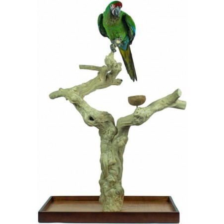 Aire de Jeux en bois de Java avec socle - X-Large ZF1115 Back Zoo Nature 169,95 € Ornibird