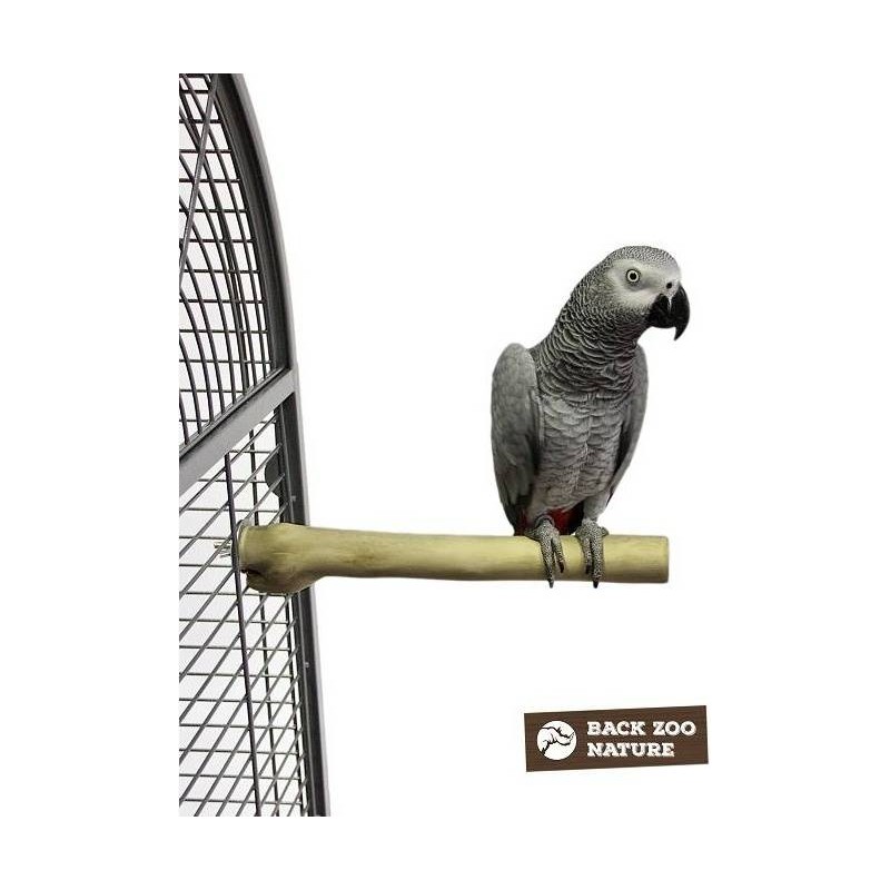 Perchoir Java Single 30cm Medium - Back Zoo Nature