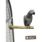 Perchoir Java Single 30cm Medium - Back Zoo Nature