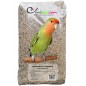 Agapornides - Ornibird, mélange pour inséparables 20kg 700129 Private Label - Ornibird 24,95 € Ornibird