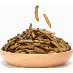 Larves de mouches soldats sechées 500gr - Ornibird à 9,45 € - Private Label - Ornibird - 10600 - Insectes