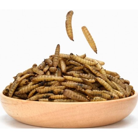 Fly Larvae, larves de mouches soldats sechées 500gr 10600 Private Label - Ornibird 9,45 € Ornibird