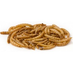 IAKO Dried Worms vers de farine séchés et naturels pour reptiles et oiseaux