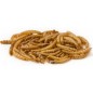 Mealworm, vers de farine déshydratés, seau de 5L