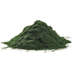 Spirulina Powder pour l’immunité et la qualité des plumes 100gr - Ornibird à 3,95 € - Private Label - Ornibird - 10540-100 - ...