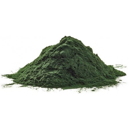 Spirulina Powder pour l’immunité et la qualité des plumes 100gr - Ornibird à 3,95 € - Private Label - Ornibird - 10540-100 - ...