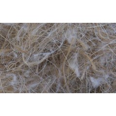 Coco - Sisal - Jute - Coton 1kg - Sisal Fibre CSJC06/1000-12 Sisal Fibre 15,65 € Ornibird