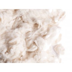 Coton 500gr - Sisal Fibre à 8,75 € - Sisal Fibre - CT14/500-20 - Matériaux nids