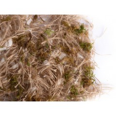 Jute - Coton - Mousse 500gr - Sisal Fibre à 13,25 € - Sisal Fibre - JCM15/500-20 - Matériaux nids