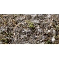 Fibres Animales - Végétales - Mousse 500gr - Sisal Fibre à 13,50 € - Sisal Fibre - AVM17/500-20 - Matériaux nids