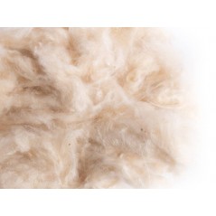 Kapok 50gr - Sisal Fibre à 2,00 € - Sisal Fibre - K29/50-120 - Matériaux nids