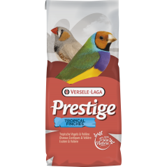 Prestige Oiseaux Exotiques 20kg - Mélange de graines de qualité à 30,85 € - Versele-Laga - 421518 - Prestige