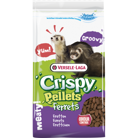 Crispy Pellets - Ferrets 10kg - Aliment en granulés, riches en protéines animales, pour furets à 35,95 € - Versele-Laga - 461...