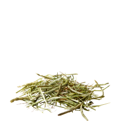 Nature Timothy Hay 1kg - Du foin timothy vert très frais et pur à 6,90 € - Versele-Laga - 424191 - Nature