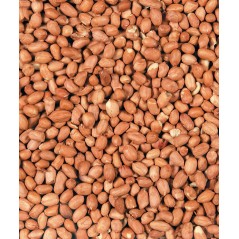 Menu Nature Peanuts 2kg - Cacahuètes pour les oiseaux de la nature à 10,10 € - Versele-Laga - 464803 - Oiseaux de la nature